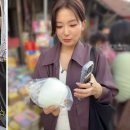 성지로 이미지
