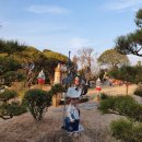 엘리의 정원 이미지