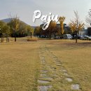 가장근린공원 | 파주 출판단지 강아지 산책, 아담한 근린공원 후기