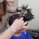 더미래모