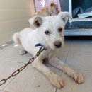 화신식물원 이미지