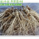건강한인삼 이미지
