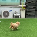 어썸멍스쿨 이미지