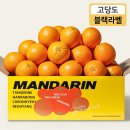 오렌지 이미지