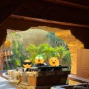 월드전장 | 오사카 유니버셜 스튜디오 재팬 슈퍼 닌텐도 월드 완벽 공략 (동키콩·익스프레스·파워업밴드 후기)