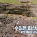 수월봉민박 이미지