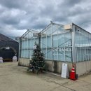 씨유 진천이월진광로점 | 진천대형카페 뤁스퀘어 방문 후기 복합문화공간 식물카페