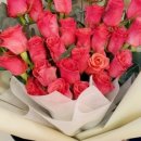 달빛아래 이미지