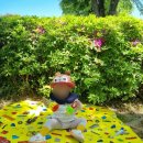 충주어린이집 이미지