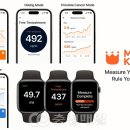 애플스파 이미지