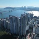 센텀협성탑부동산공인중개사사무소 | 광안 테넌바움294 분양일정(예정), 현장사진