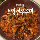 퍼니잼잼과정초점 | 보양선 쭈꾸미 볶음 술안주 캠핑요리 다되는 내 인생쭈꾸미 소개한다;;