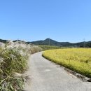 도야마을회관 이미지