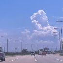 네네치킨 사천점 | 일본 다녀왔어요(23년 여름 …)