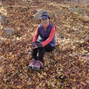 문경 천주산 이미지