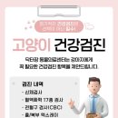 닥터장 동물의료센터 네이버블로그