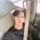 진영냥이 이미지