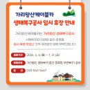 평창산삼마을 영농조합법인 | [정선여행 가이드] 가리왕산 케이블카 & 휴양림 상세 안내 (7월 임시 휴장) 및 솔돌마을 연계 코스
