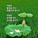 행복상사