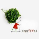 포레스트569