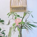 주흥15길 7 이미지