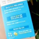 비바시티 VIVACITY | 오독오독 씹어먹는 맛있는 애사비 빙그레 비바시티 애사비톡톡