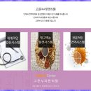 고운누리 이미지
