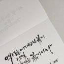 뮬란캘리
