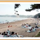 남양2 발전소 이미지