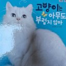 어휘 활용 책놀이 이미지