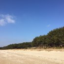 원산도 선촌항 이미지
