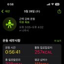 피티샵 이미지