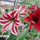 미네르바