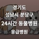 365동판교동물병원 | [경기도 성남시 분당구 24시간 동물병원(구미동, 정자동, 야탑동)] 365일 연중무휴 반려동물 응급상황...