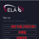 벨라vela