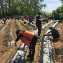 진천군지체장애인협회 이미지