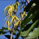 러브웨이 이미지