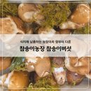 가정농장 | 참송이농장 참송이버섯 가정용 1kg 후기｜식자재 납품하는 농장이라 향부터 다르네요