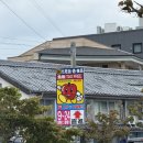 멍이냥이하우스 | 대마도에서 만난 기요미들 (+도서구매)