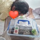 벅스패밀리 이미지