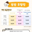 밤밤 애견유치원 이미지