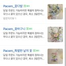 파쳄플라워