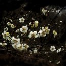 동산(중방) 이미지