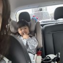 오감데이즈
