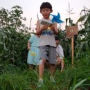 옥수농장 이미지