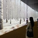 송이분식 이미지