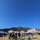 파란하늘인쇄기획 | [고창 여행] 25년 4월 6일 고창 벚꽃축제 개화 후기, 주차장 셔틀버스 타는 곳