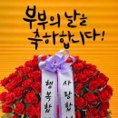 용인대 부부태권도장 이미지