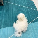 강서정보 | [강서구] 해현당 솔직 후기/주차정보