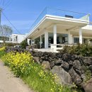 제주 서귀포 분위기 좋은 산방산뷰 브런치카페 위이 (wiee)